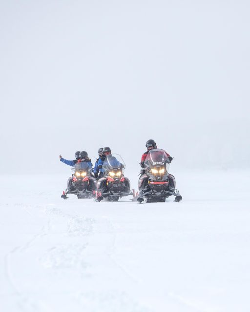 Luleå : Snowmobile - Forest and Ice Nature Tour 2h - Who will enjoy this Arctic nature tour?