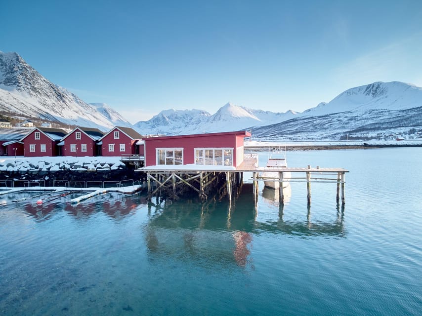 Lyngen: Snowmobile Safari with Lunch in seaside Restaurant - Should you book the Lyngen snowmobile safari?
