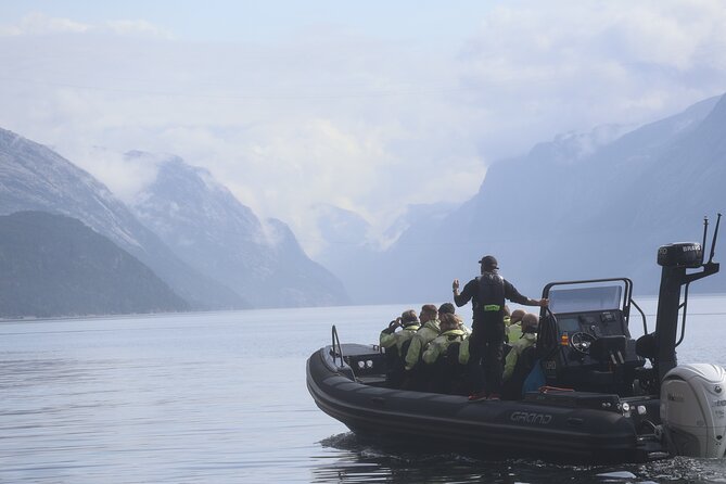 Lysefjord RIB Safari from Stavanger - The essentials at a glance