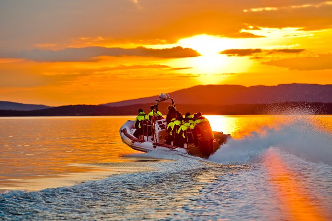 Lysefjord RIB Safari from Stavanger - Captains, commentary, and the small-group feel