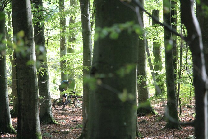 Malmo Bike Rental - The old city: a natural first ride