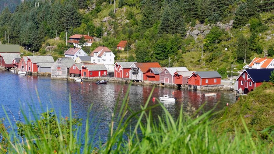 Måløy: Electric Minibus Tour to Kannesteinen - What the $60 price really buys
