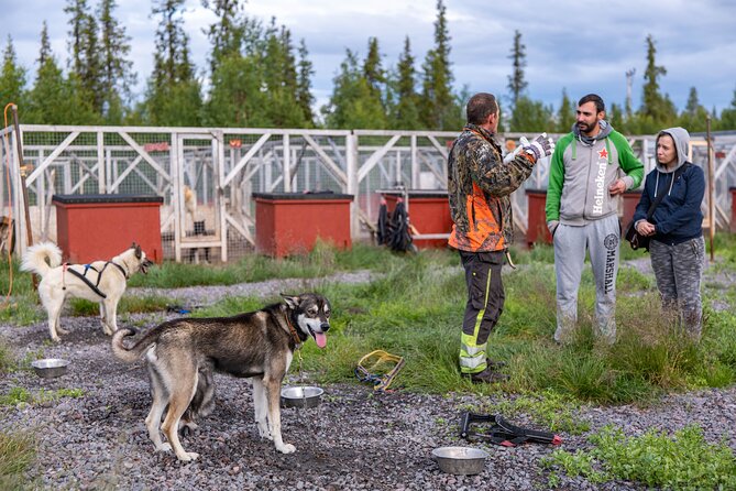 Meet 70 Huskies and Enjoy a short ATV Tour with the Huskies - What the kennel teaches you about Arctic sled dogs