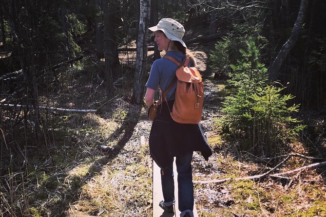 Midnight Sun and Campfire - National Park evening hike Stockholm - From Cityterminalen to Tyresta after 6:30 pm
