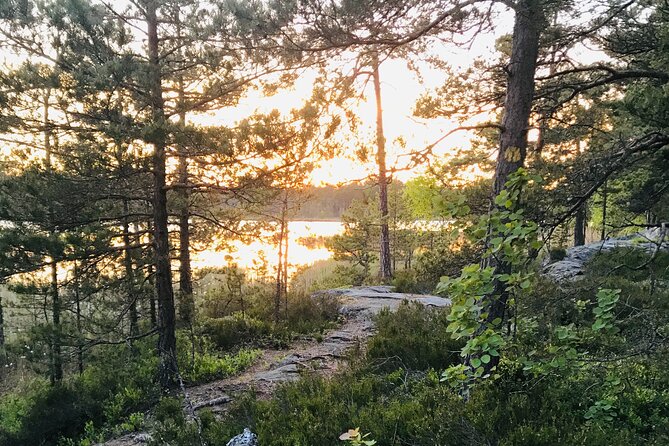 Midnight Sun and Campfire - National Park evening hike Stockholm - Easy trails through Tyresta’s primeval forest