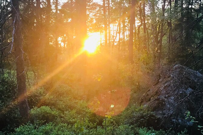Midnight Sun and Campfire - National Park evening hike Stockholm - Who will enjoy this evening most?