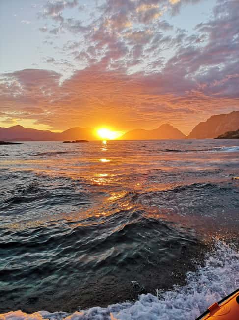 Midnight sun safari - Key points to know before booking