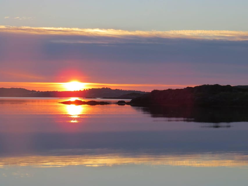 Midnight sun safari - Watching for sea eagles, seals and puffins