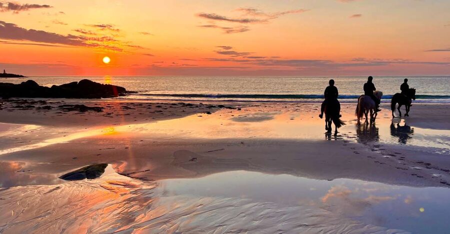 Midnight sun tour - Riding beneath Lofoten’s endless summer light