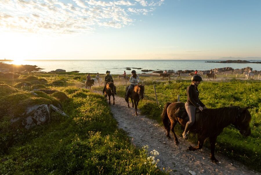 Midnight sun tour - Returning beside the Arctic beach