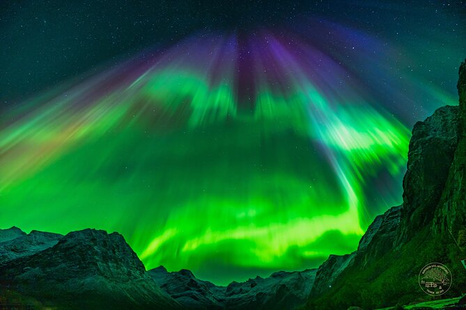 Minibus Northern Lights Chase with Photography from Tromsø - Is the $242.92 price fair?