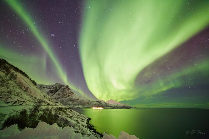 Minivan Northern Lights excursion (8 guests per minivan) - A six-hour chase from central Tromsø