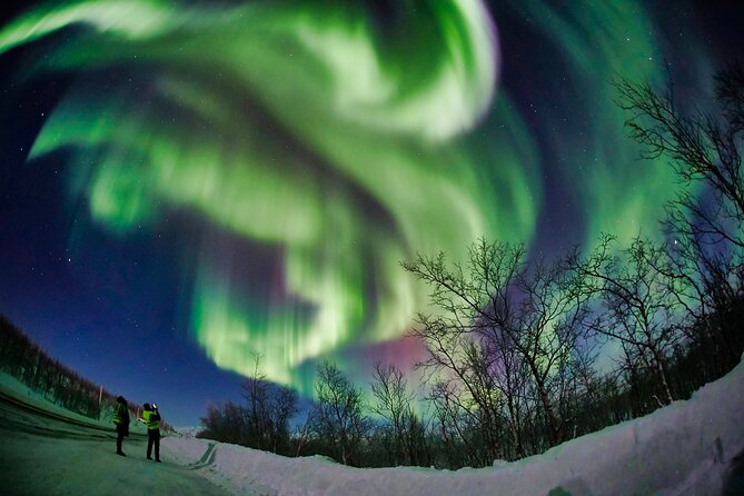 Minivan Northern Lights excursion (8 guests per minivan) - The guides are a big part of the value