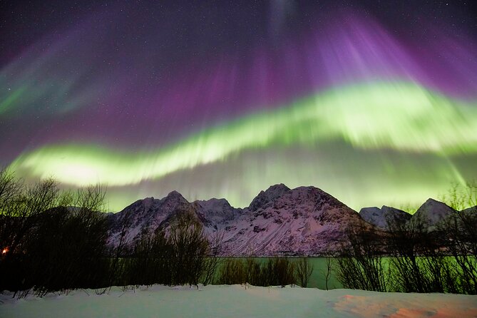 Minivan Northern Lights excursion (8 guests per minivan) - Small group, but not a private tour