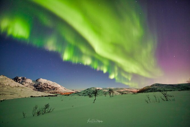 Minivan Northern Lights excursion (8 guests per minivan) - Who should book this Tromsø aurora chase?