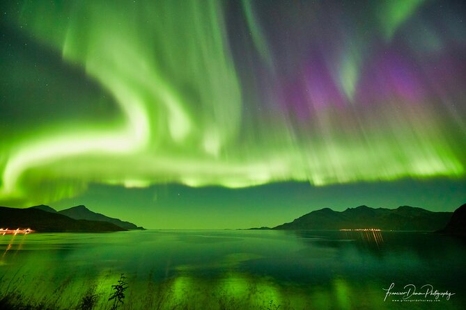 Minivan Northern Lights excursion (8 guests per minivan) - Should you book it?