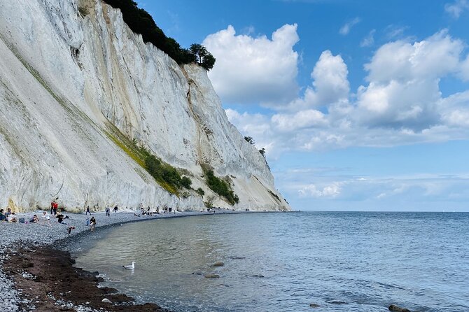 Møns klint and The Forest tower - A day tour from Copenhagen - Key points before you book