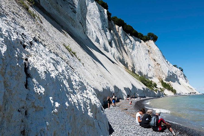 Møns klint and The Forest tower - A day tour from Copenhagen - Is $227.45 good value?