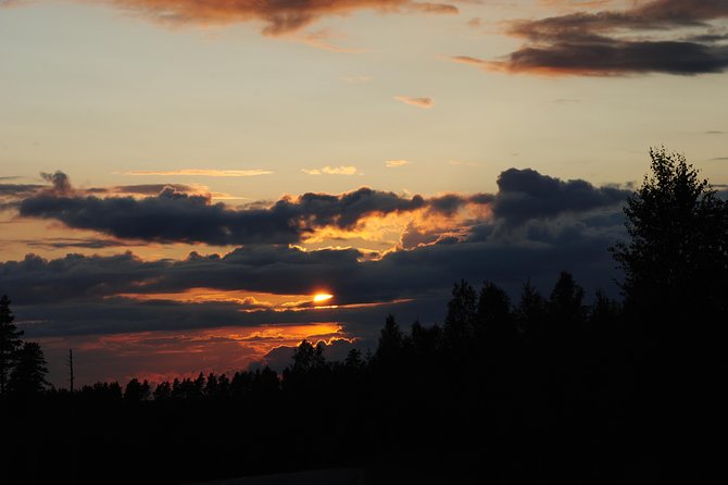 Moose safari in the wild Sweden Tiveden - Who will enjoy this Tiveden safari