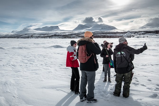 Morning hike in Abisko National Park - Wildlife signs are often the real reward