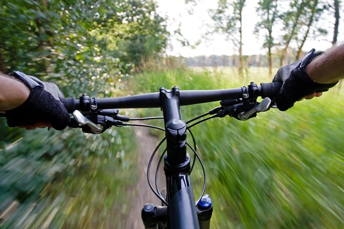 Mountain Biking Small-Group in Stockholm Forests for Beginners - From Johanneshov into the Nackareservatet woods