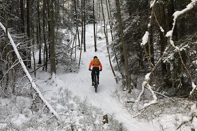 Mountain Biking Small-Group in Stockholm Forests for Beginners - Who will enjoy this ride most