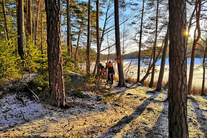 Mountain Biking Small-Group in Stockholm Forests for Beginners - The guides make the difference