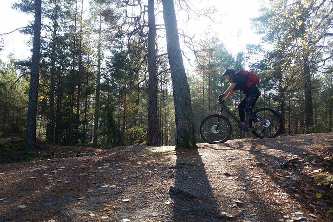 Mountain Biking Small-Group in Stockholm Forests for Beginners - Lakes, deer, and the payoff of leaving the city