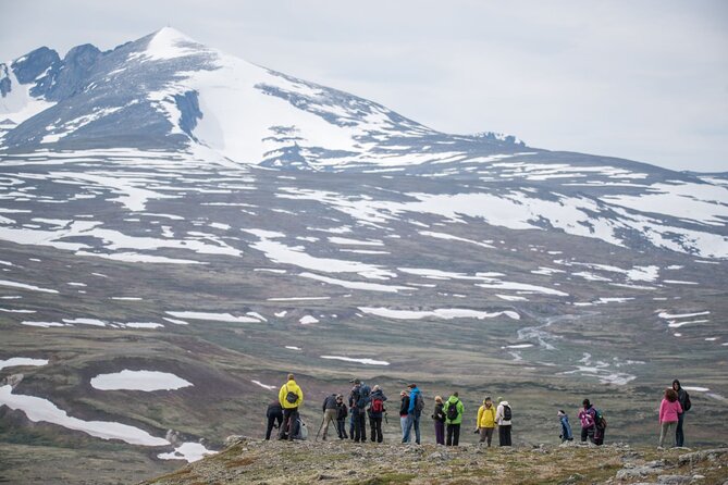 Musk ox Safari in Dovrefjell National Park, Oppdal Safari - Weather, clothing, and fitness