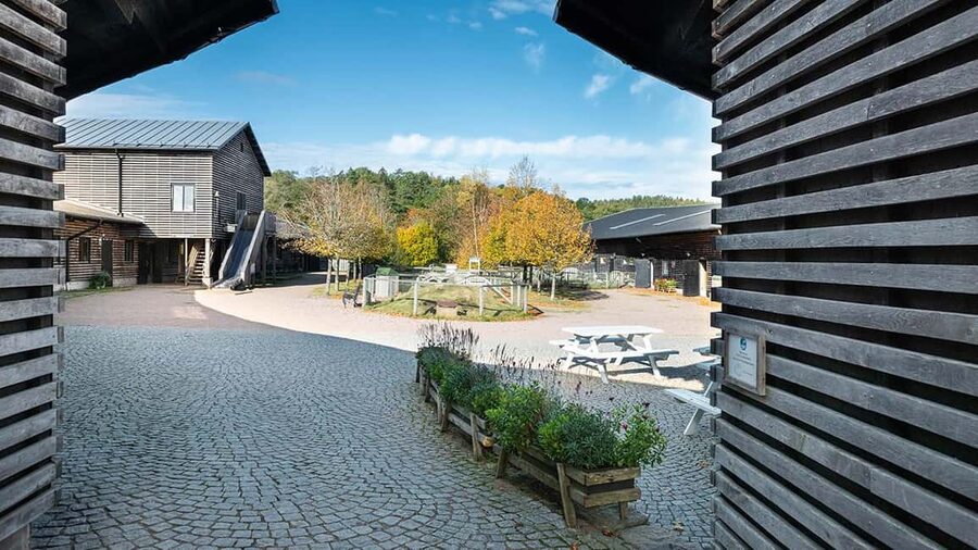 Nordens Ark Entry Ticket - Practical tips for a better visit