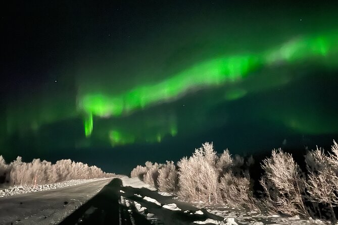 Northern Light hunt with minibus to Abisko 7:30 pm - Riding in a small minibus