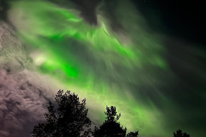 Northern Light hunt with minibus to Abisko 7:30 pm - Photography help that can improve your night