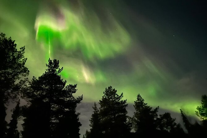 Northern Light hunt with minibus to Abisko 7:30 pm - Is $253 a fair price?