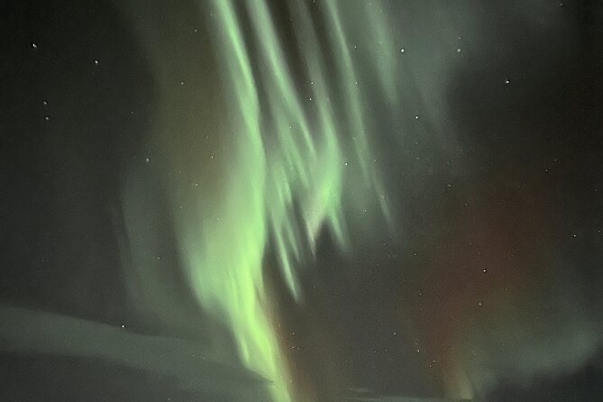 Northern Light hunt with minibus to Abisko 7:30 pm - Pickup, timing, and practical details