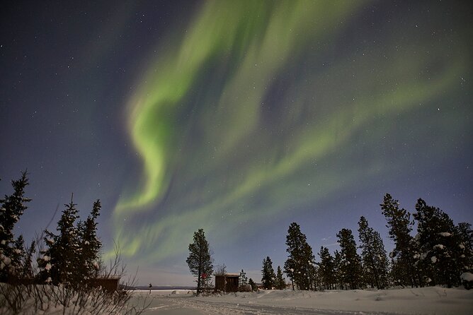 Northern Light Photo tour - Waiting under an Arctic sky