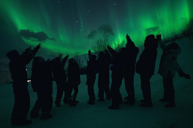 Northern Lights Big Bus Chase with Chasing Lights - What the long bus ride really means
