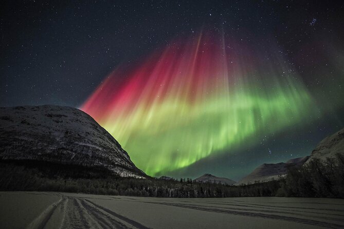Northern Lights Chase with Photography from Tromsø - Chasing Clear Skies Beyond Tromsø