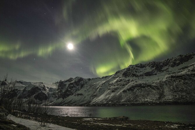 Northern Lights Chase with Photography from Tromsø - Guides Who Keep Searching