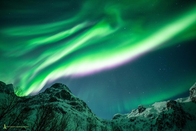 Northern Lights Hunt with The Green Adventure - photos included - Is $225.64 good value?