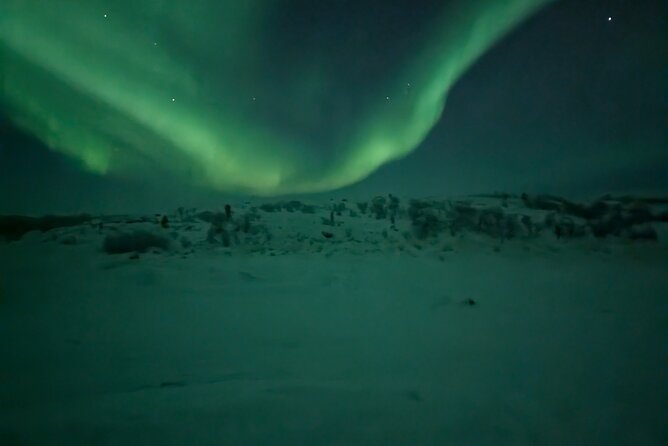 Northern Lights Minibus Chase Max 16 Person In Group - What happens at the viewing stops