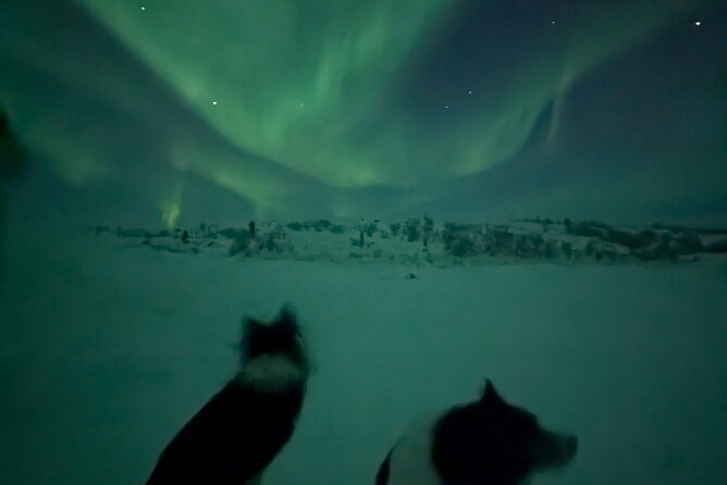 Northern Lights Minibus Chase Max 16 Person In Group - Why a small minibus can make a difference