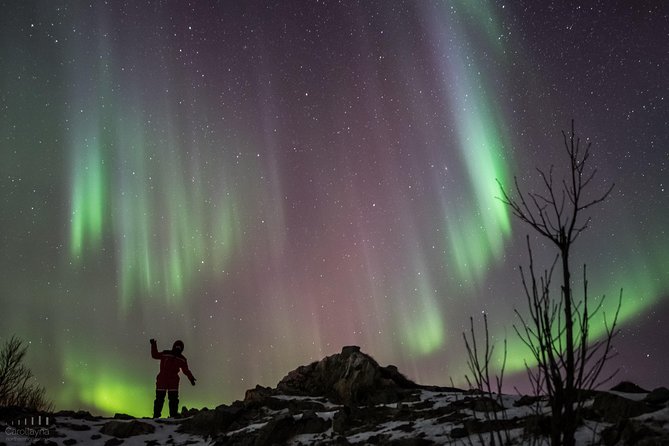 Northern Lights tour - All inclusive - Northern Horizon - What happens beside the Tromsø fjords