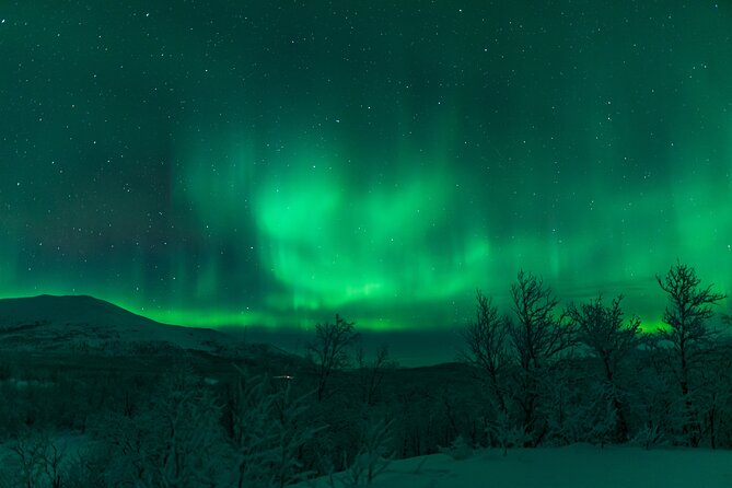 Northern Lights Tour from Kiruna to Abisko with Dinner - Why Abisko gives this tour its best chance