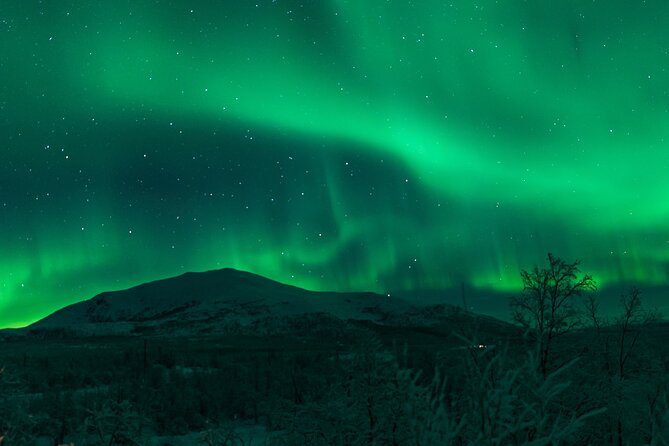 Northern Lights Tour from Kiruna to Abisko with Dinner - Learning the science and stories of the aurora