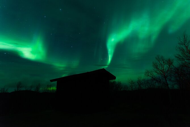 Northern Lights Tour from Kiruna to Abisko with Dinner - Warmth, comfort, and the reality of waiting