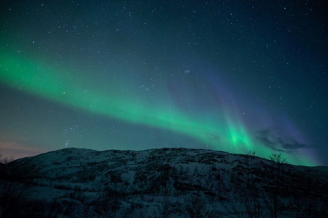 Northern Lights Tour from Kiruna to Abisko with Dinner - Is $278.79 a fair price?