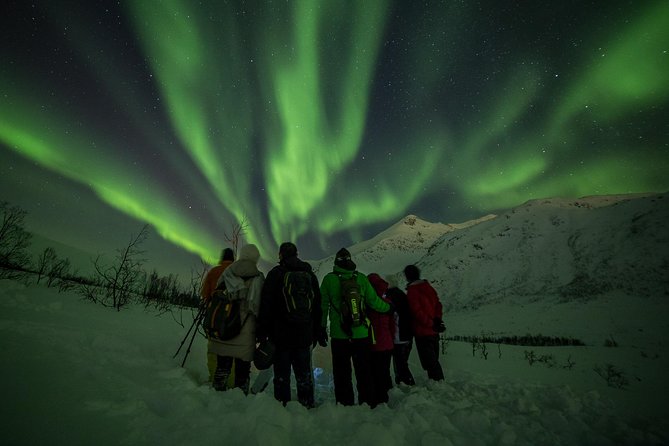 Northern Lights Tour from Tromsø - What happens when the lights do not appear