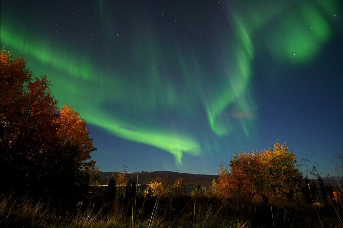 Northern Lights tour with Alta Adventure - Warm clothing, drinks, and photography