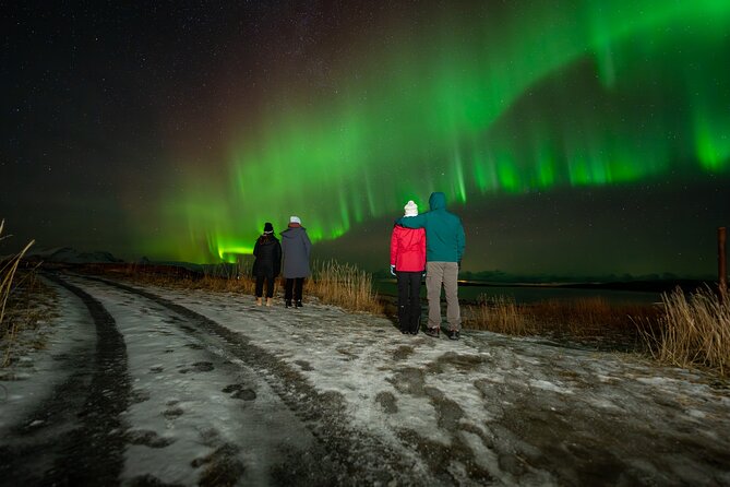 Northern Lights Tours Bodo Norway - What happens from the 7 pm start