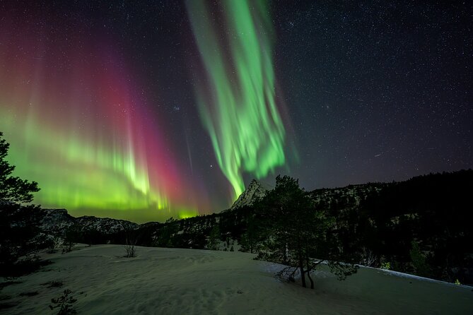 Northern Lights Tours Bodo Norway - What the northern lights portion feels like